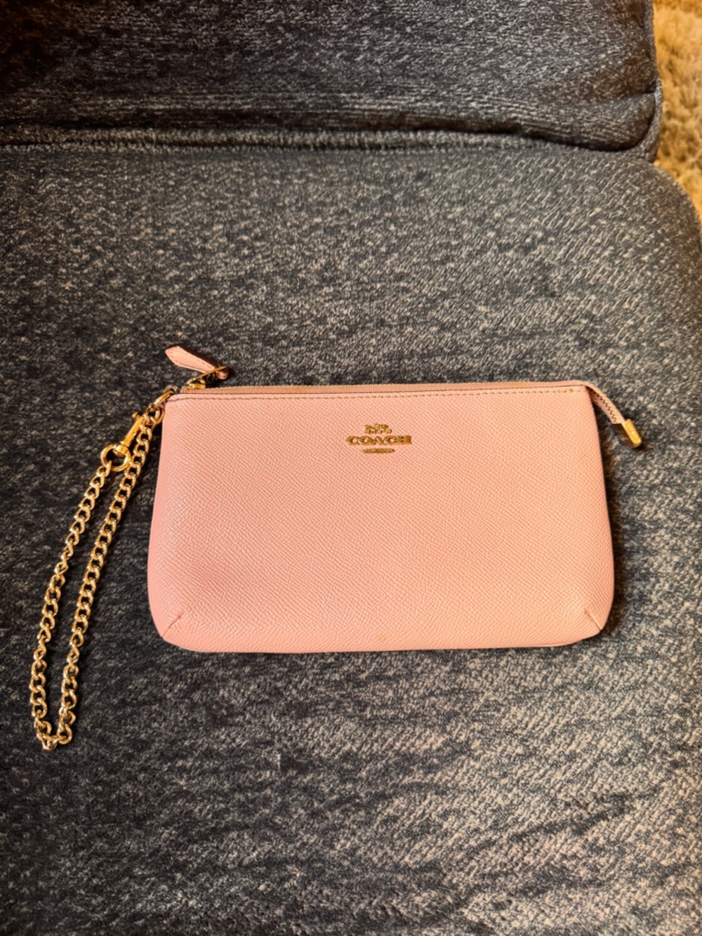Coach Large Wristlet with Chain in Pink (Style F73044)